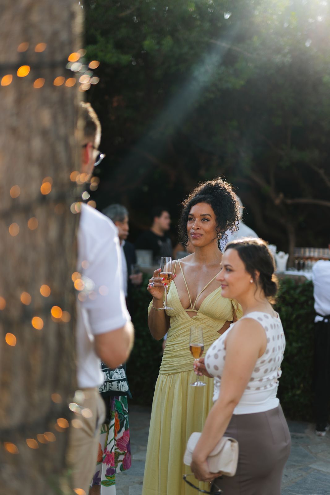 Guests chatting with glasses of rosé in late sun beside a tree wrapped in lights